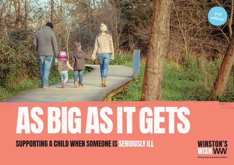 As Big as it Gets - Supporting a child when someone is seriously ill (E-book)