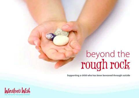Beyond the Rough Rock - Supporting a child bereaved of suicide (E-book)